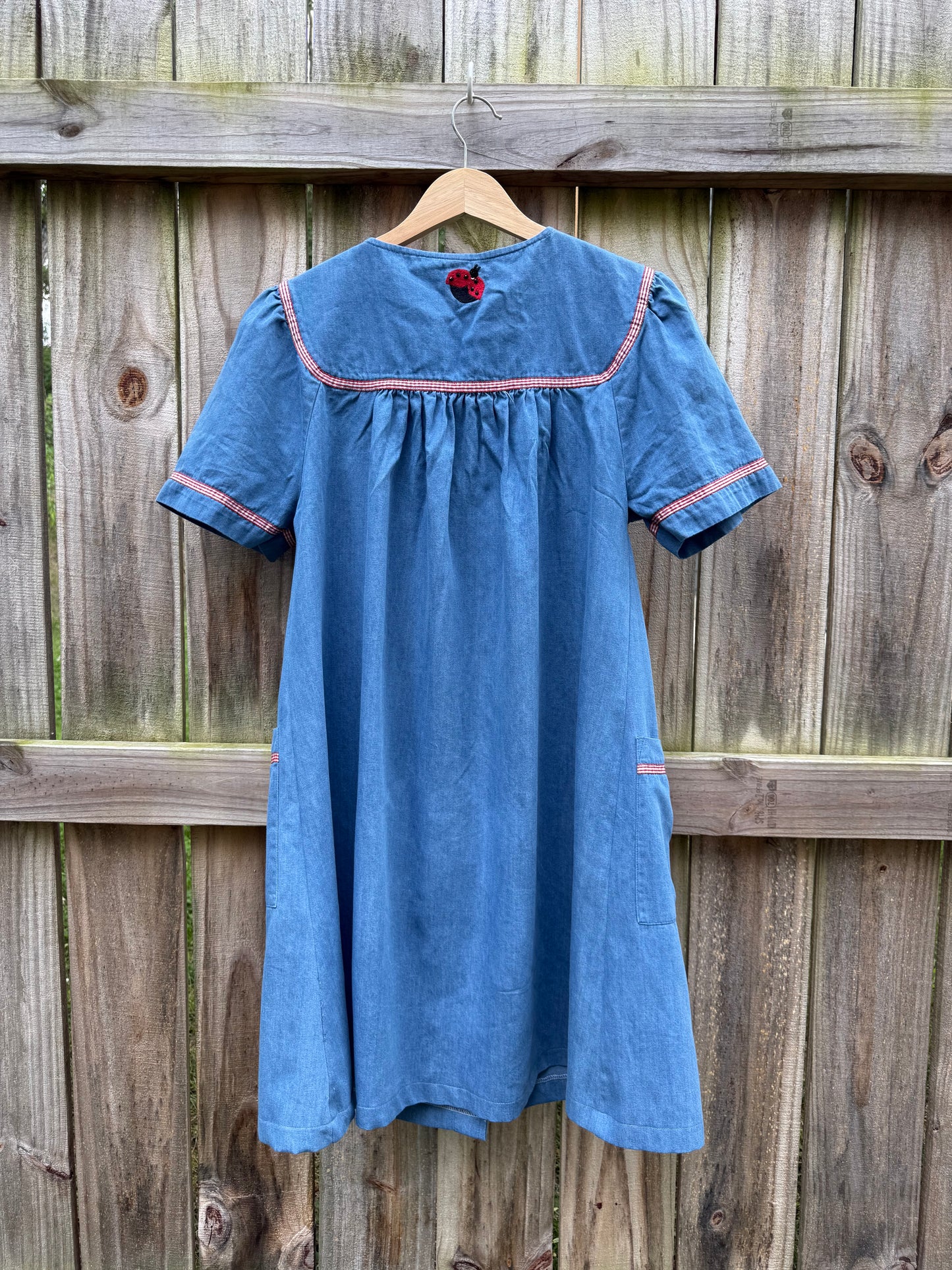 Go Softly Embroidered Ladybug Mini Dress