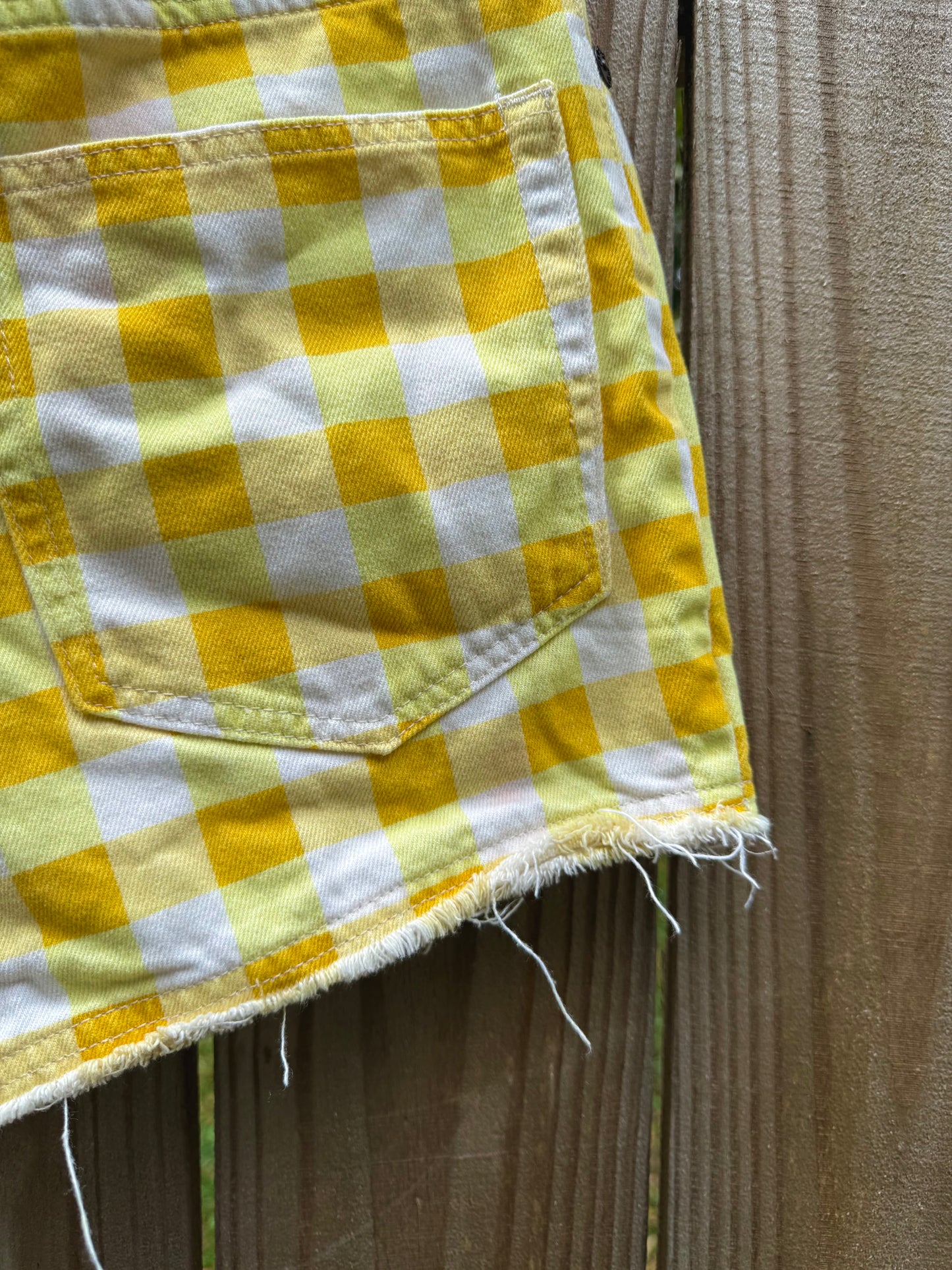 Farm Rio for Anthropologie Gingham Shorts
