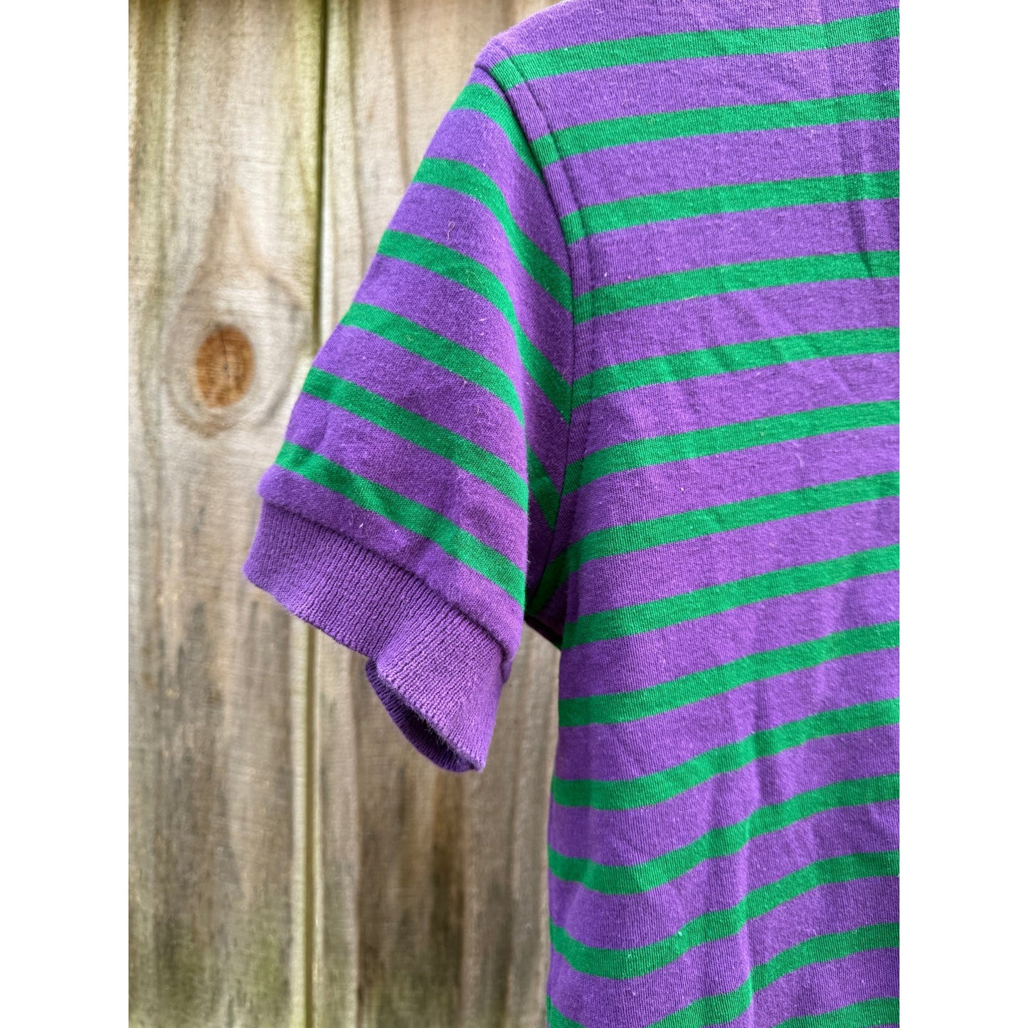 Vintage Retro Purple + Green Stripe Polo