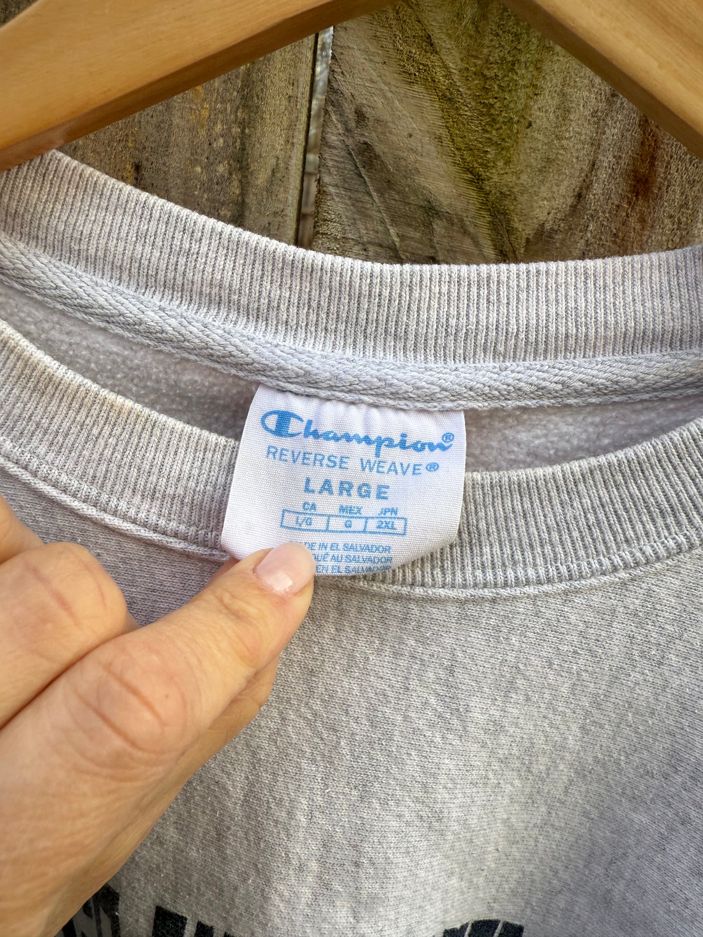 Champion Reverse Weave George Washington Sweatshirt