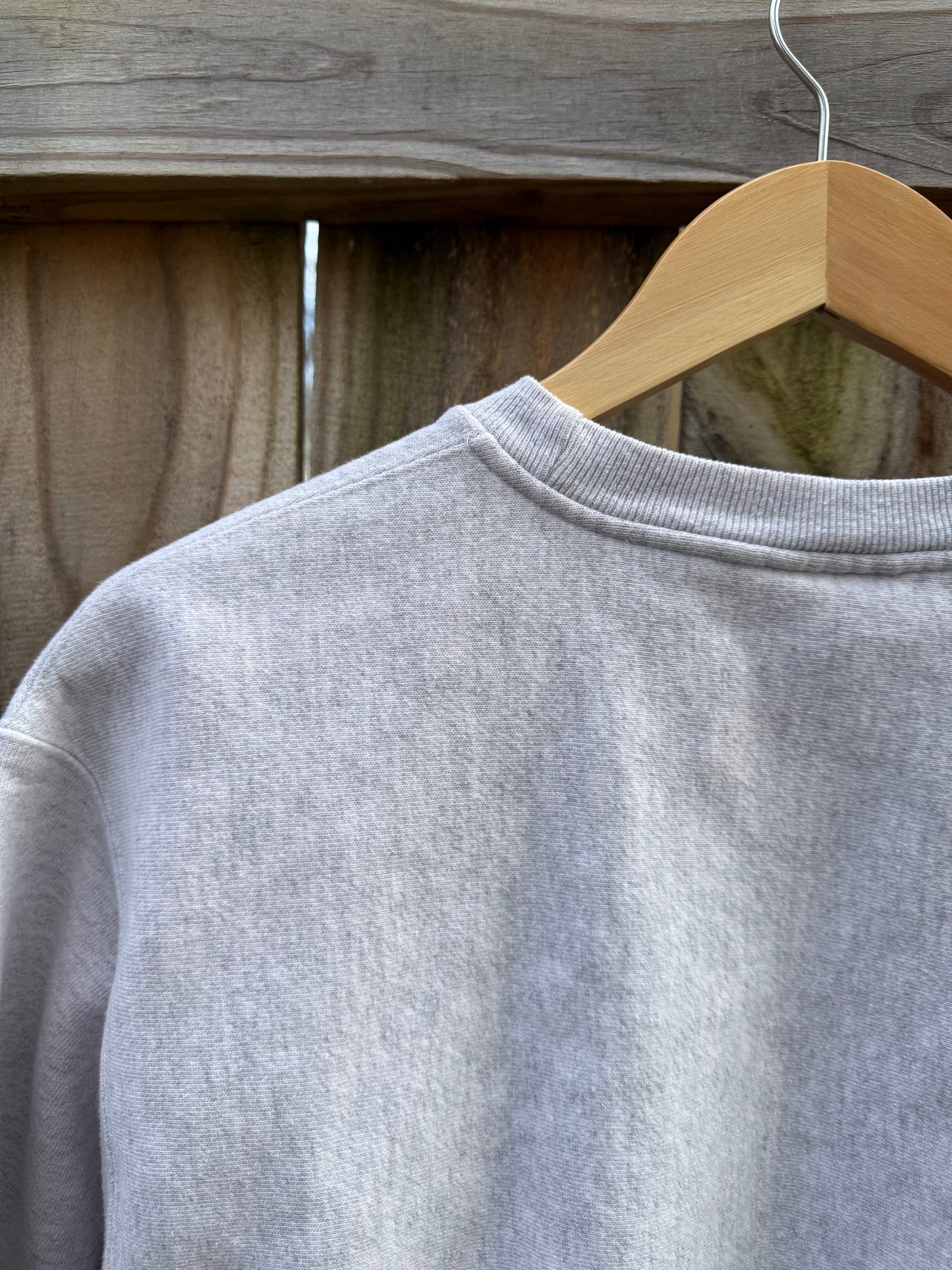 Champion Reverse Weave George Washington Sweatshirt