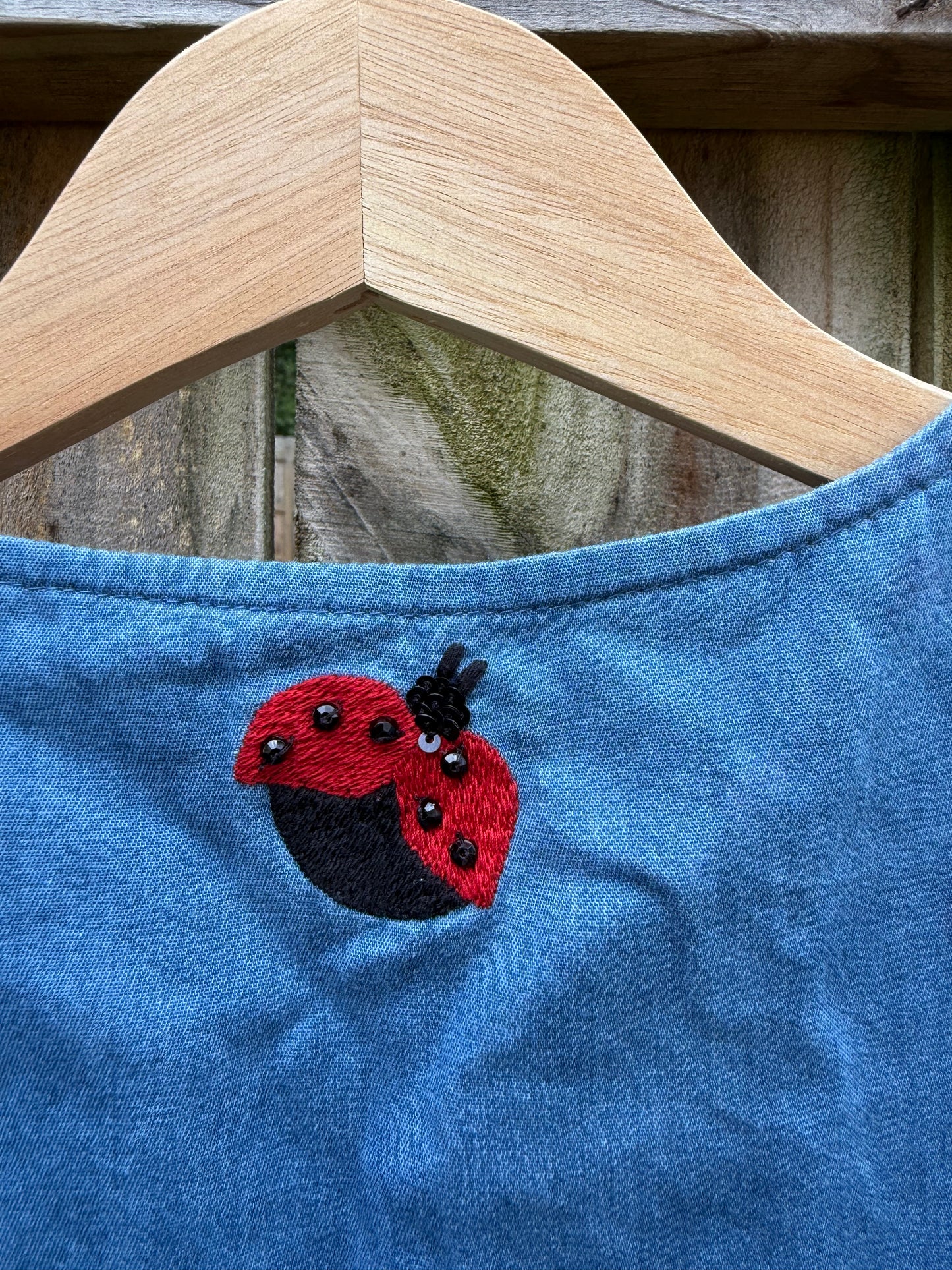 Go Softly Embroidered Ladybug Mini Dress