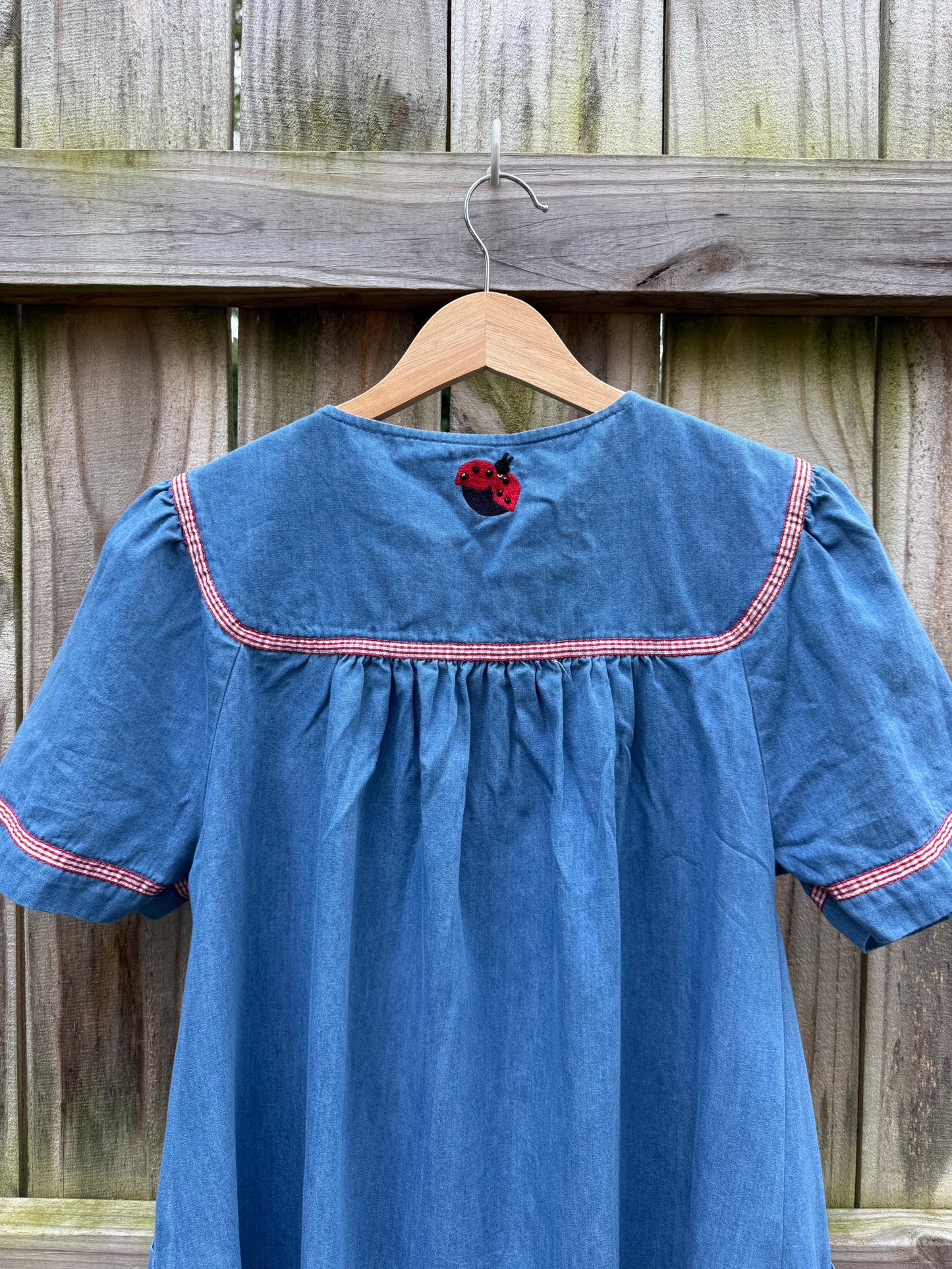 Go Softly Embroidered Ladybug Mini Dress